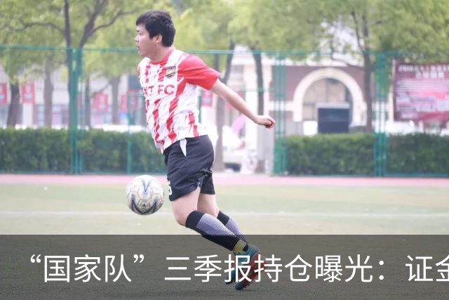 “国家队”三季报持仓曝光：证金重仓中国神华，社保基金增持中金岭南